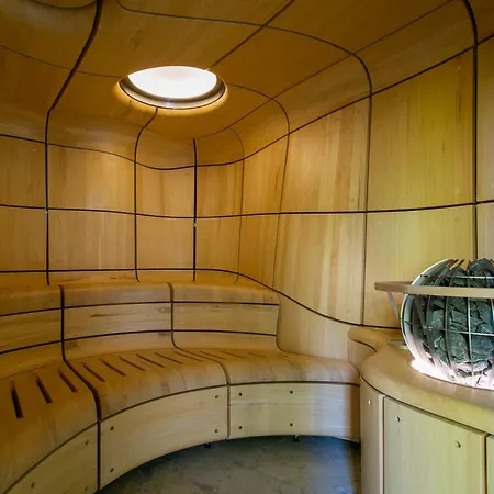 Elder By Birch Broughton (North Yorkshire)