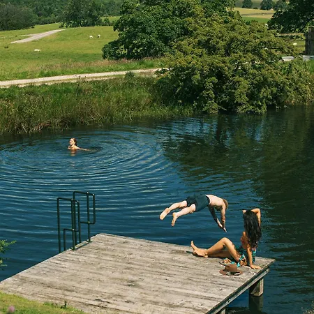 Elder By Birch Broughton (North Yorkshire)