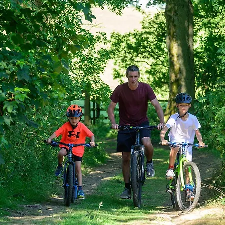 Elder By Birch * Broughton (North Yorkshire)
